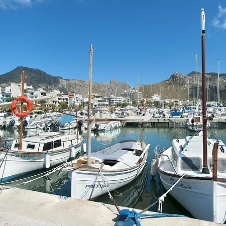 Owl Laura - 8 Min Walk To The