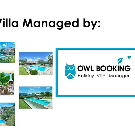 Owl Laura - 8 Min Walk To The