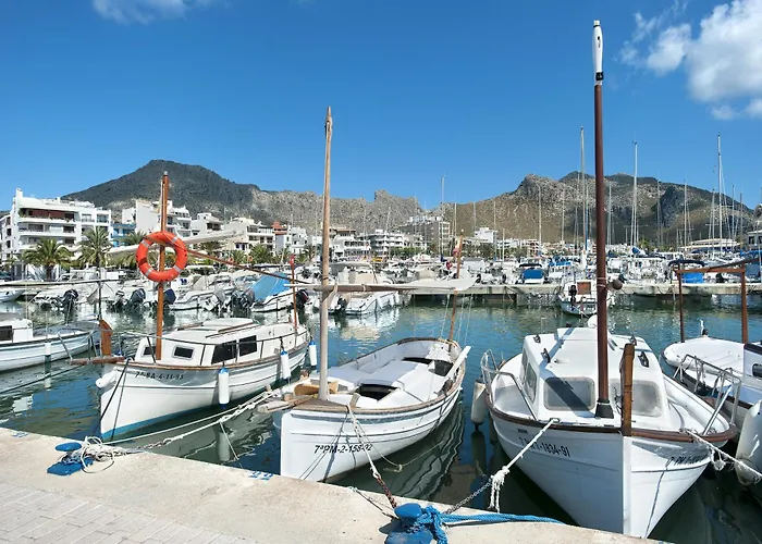 Owl Laura - 8 Min Walk To The