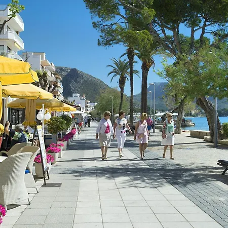 Owl Laura - 8 Min Walk To The