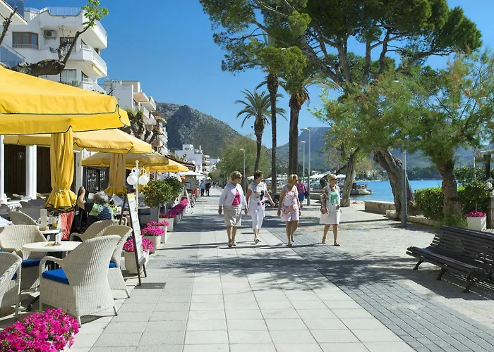 Owl Laura - 8 Min Walk To The